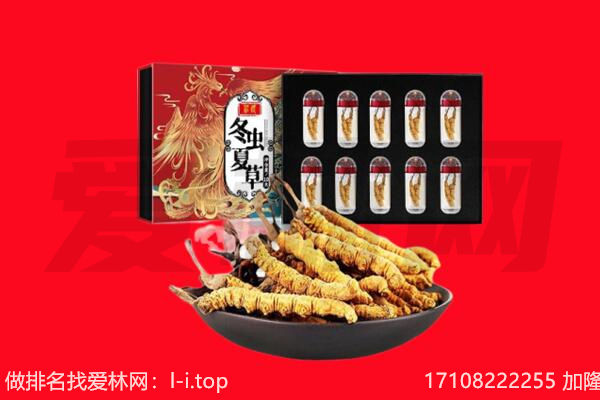 淮北市杜集回收虫草.jpg